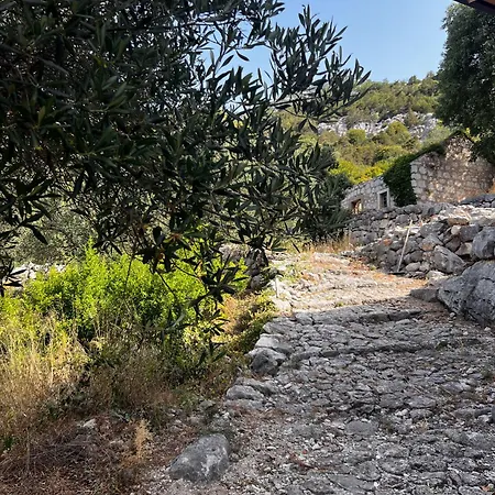 Apartamento Maslina Stone House Bacina