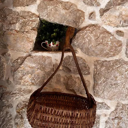Apartment Maslina Stone House