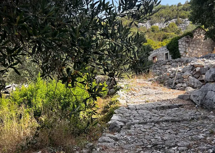 Apartment Maslina Stone House Bacina