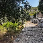 Apartment Maslina Stone House Bacina