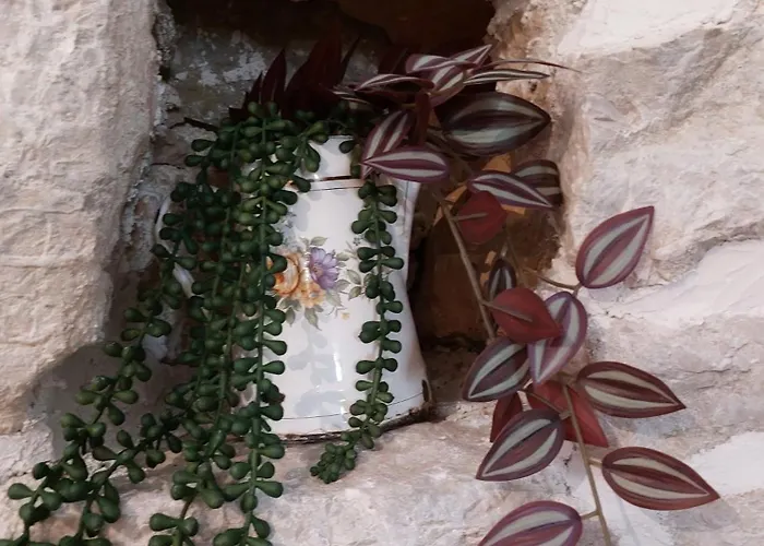 Maslina Stone House *